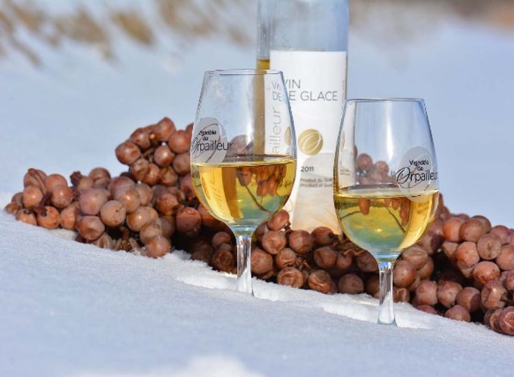 Top 7 des Traditions Culturelles et Culinaires Uniques au Canada